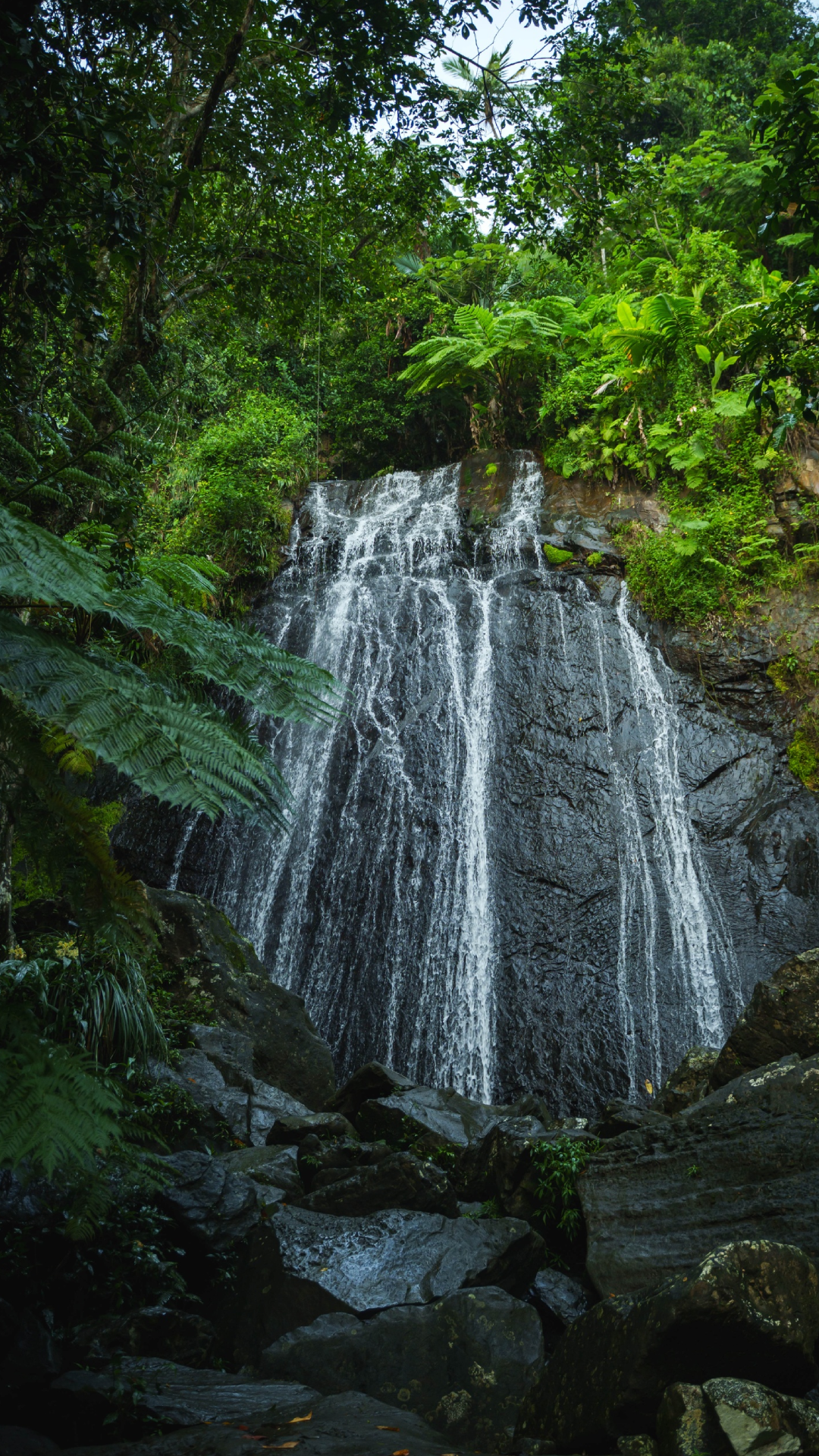 A waterfall cascading over dark rocks surrounded by lush green foliage.