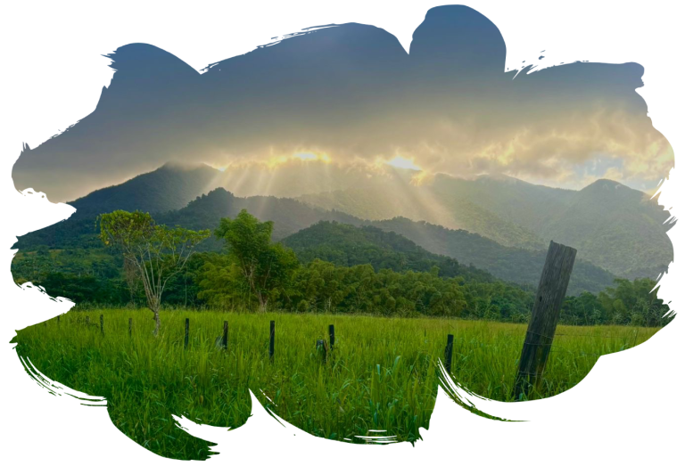 Sun rays over mountains with green field in foreground and scattered clouds.