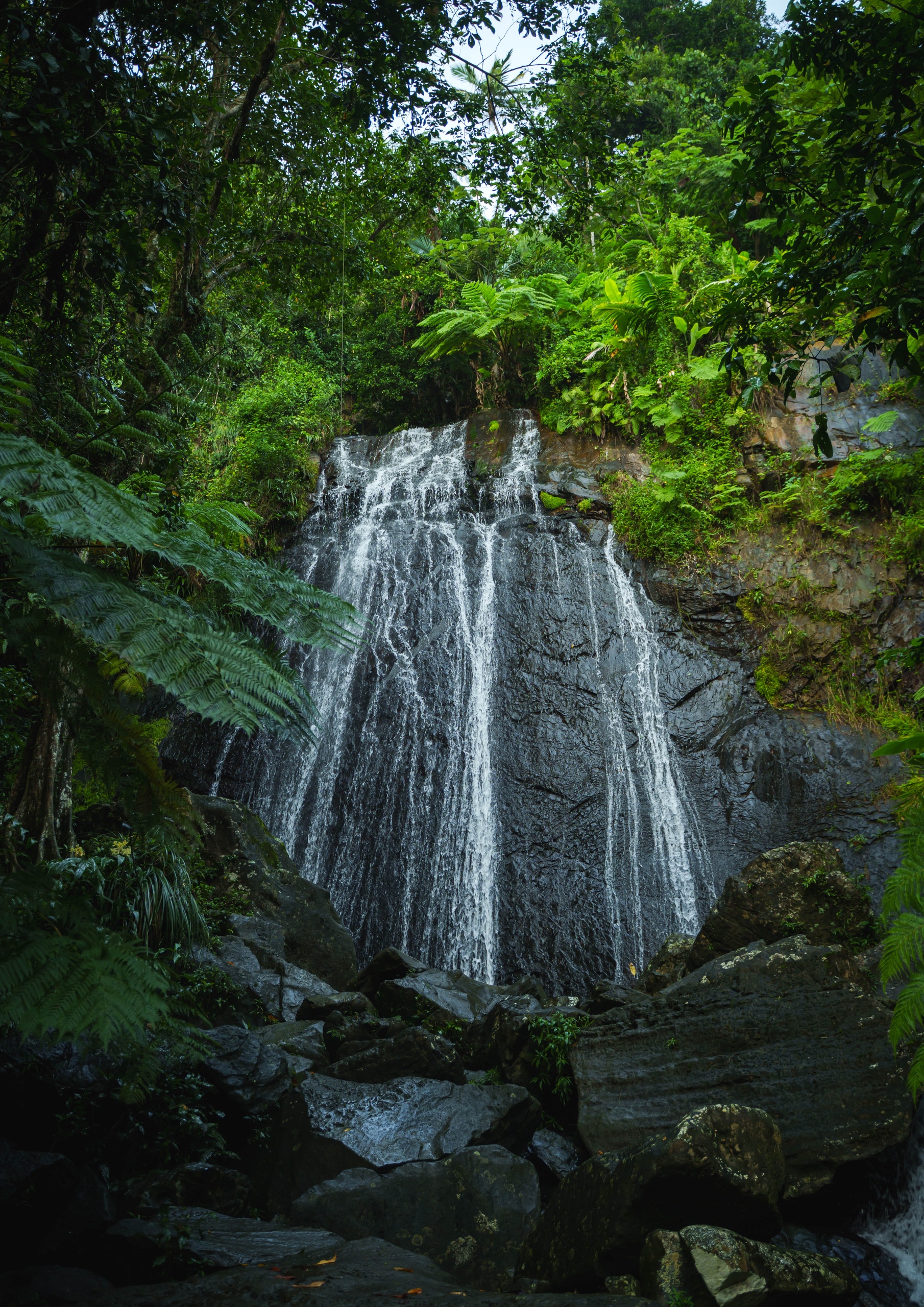 A small waterfall cascading over rocks surrounded by lush green vegetation.