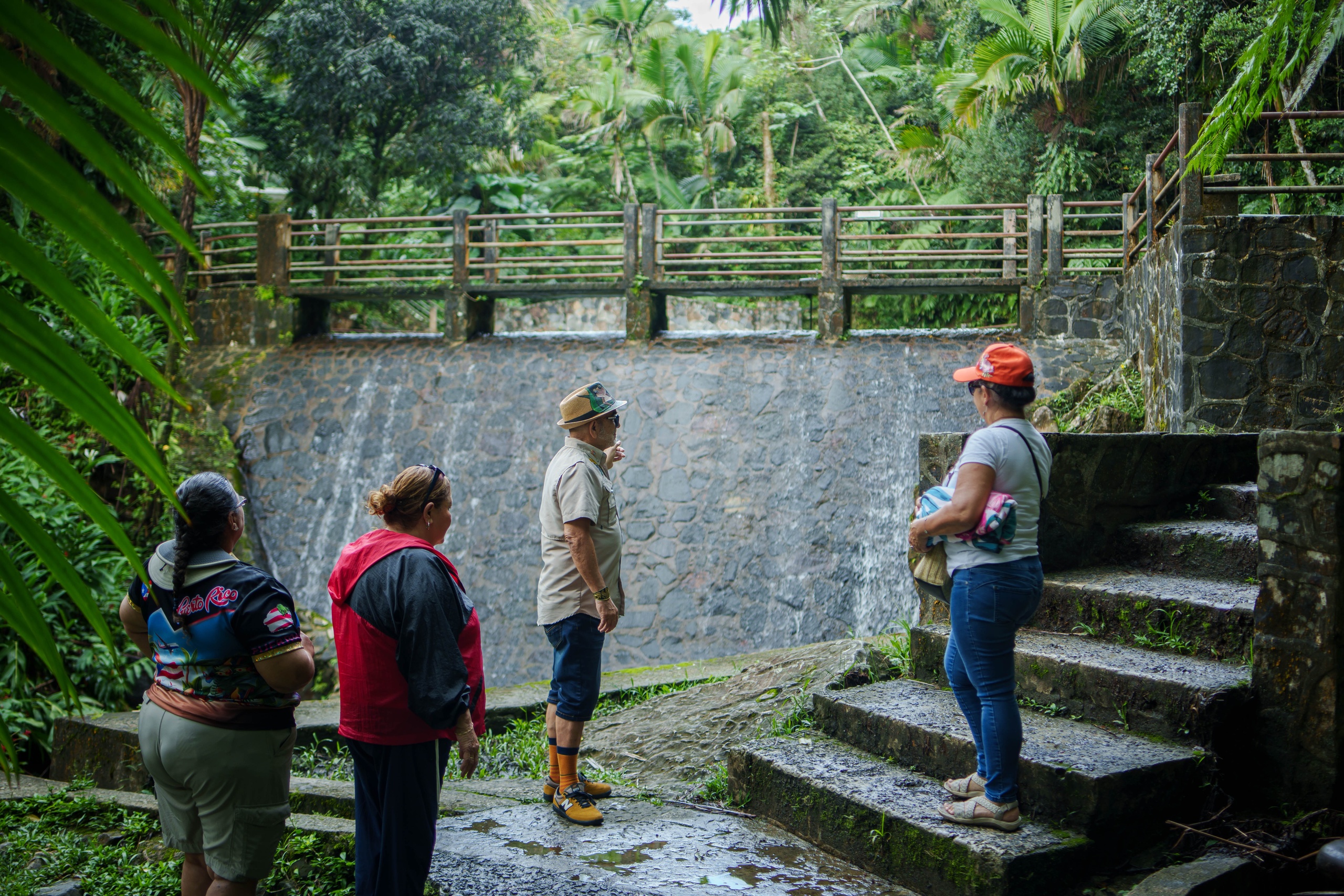 Four people stand near a small waterfall surrounded by lush greenery.