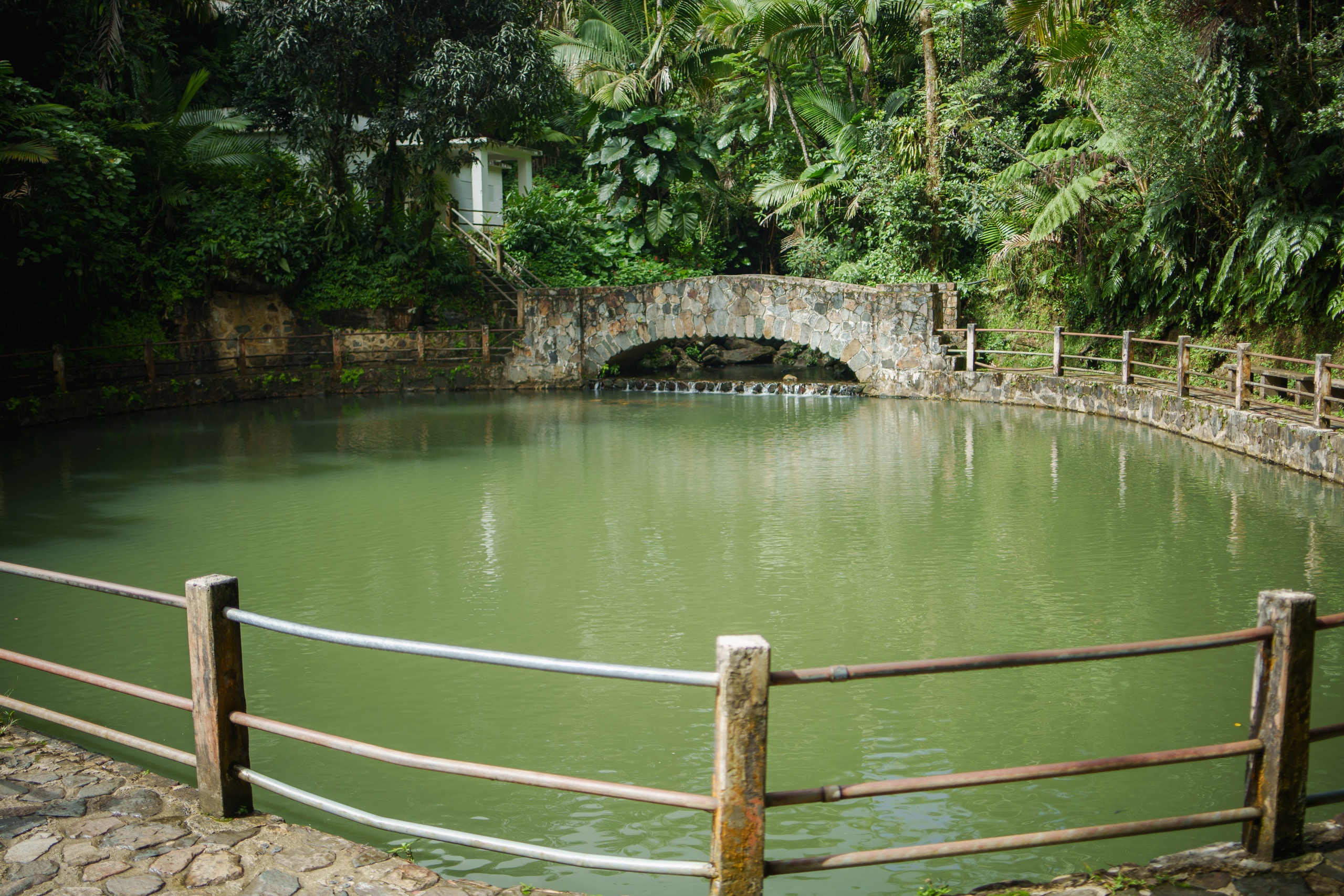 Stone bridge over a pond in a lush, green forest setting.