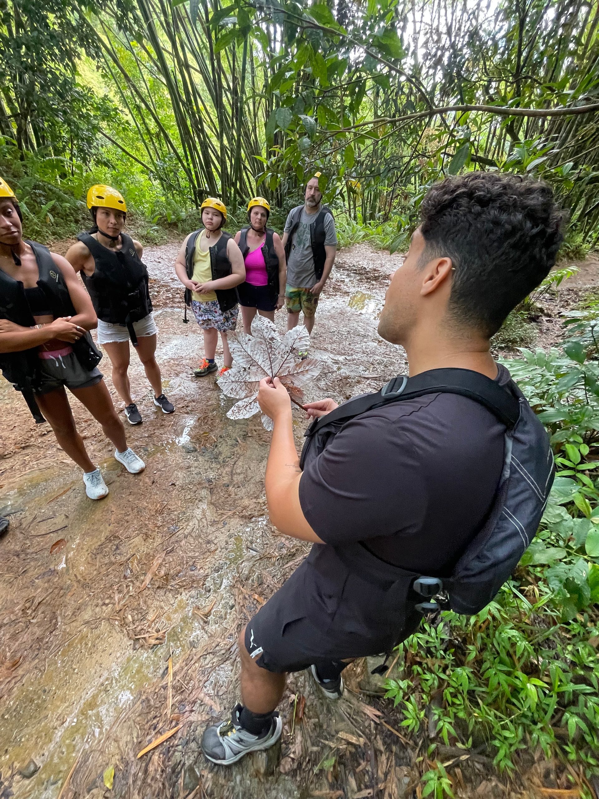 Group of people with helmets listening to a guide in a forest trail.
