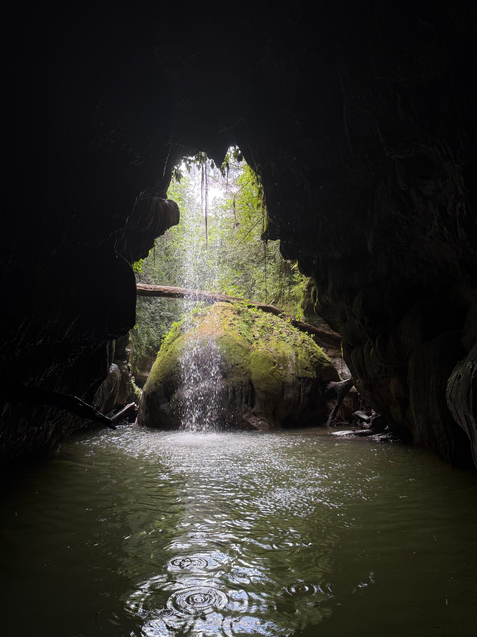 Waterfall in a cave with light filtering through and green foliage.