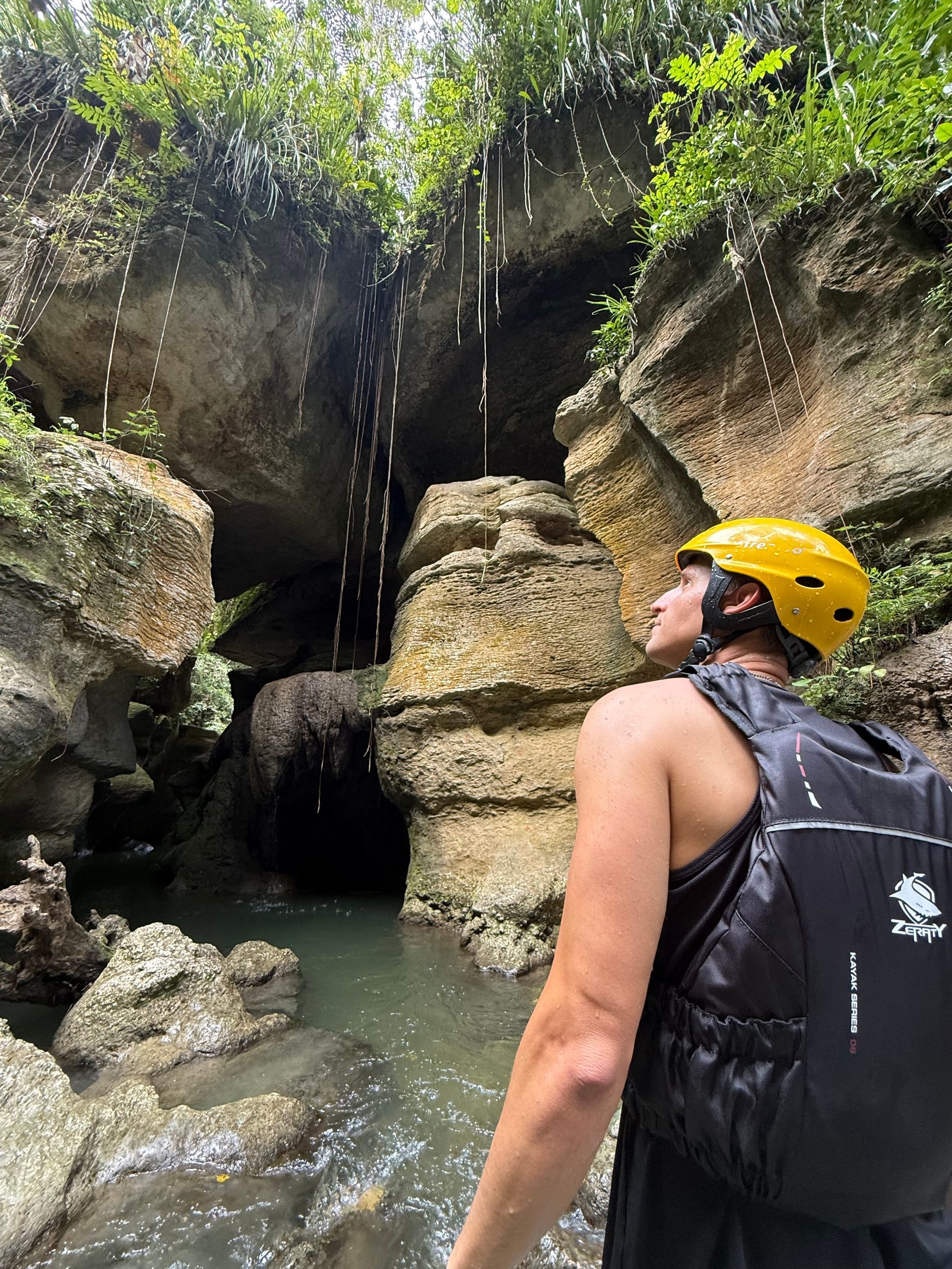 Person in helmet explores rocky canyon with flowing vines and water.