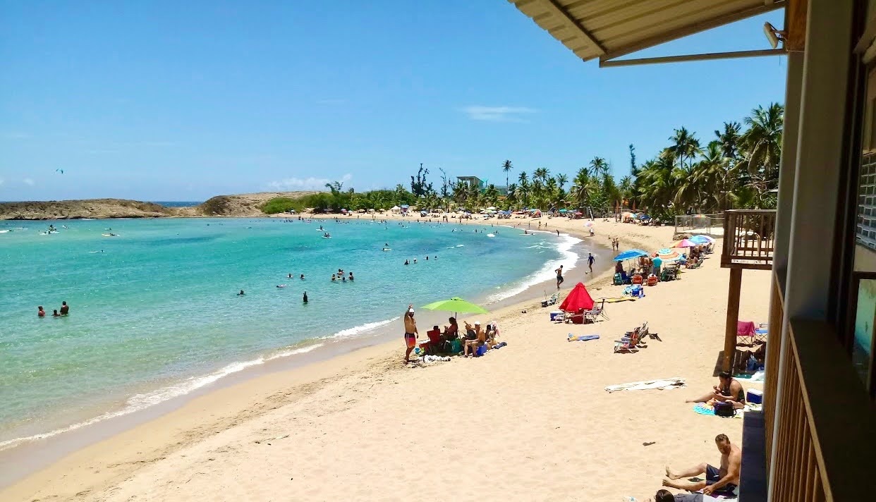 Sandy beach with people, umbrellas, and palm trees under a clear blue sky.