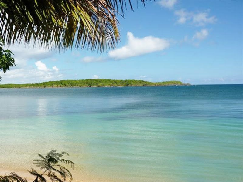 Tropical beach with calm sea, palm fronds, and distant green shoreline under blue sky.