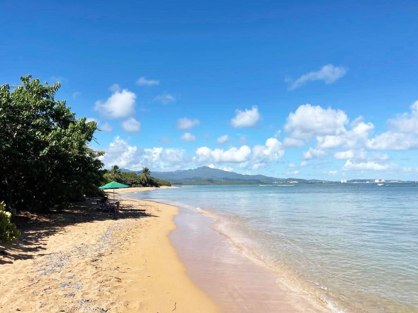 Sandy beach with trees, umbrella, and distant mountains under a blue sky.