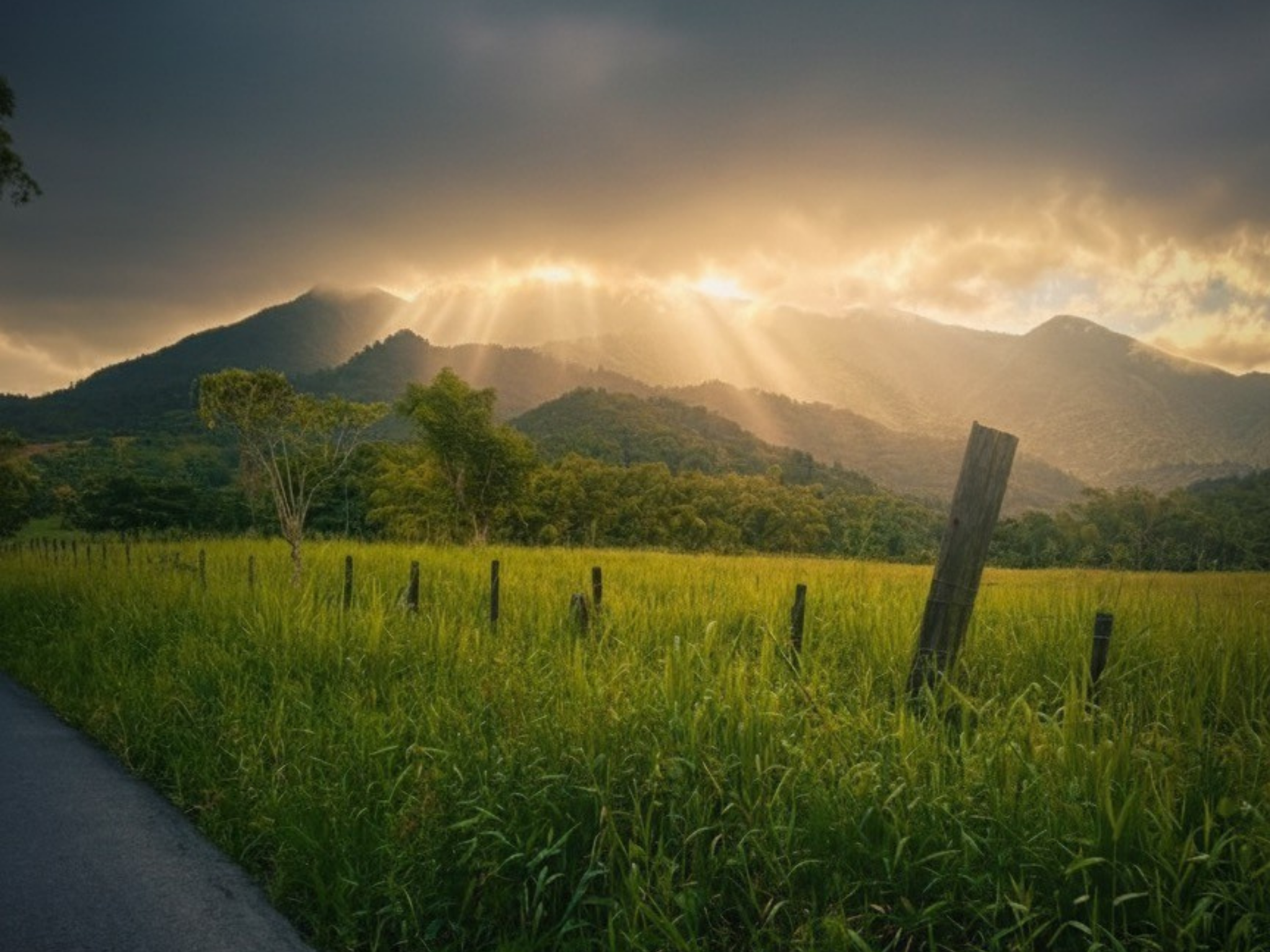 Sun rays break through cloudy skies over mountains and grassy field.